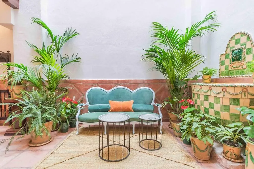 Penthouse & Private Rooftop In The Heart Of Malaga By Rems