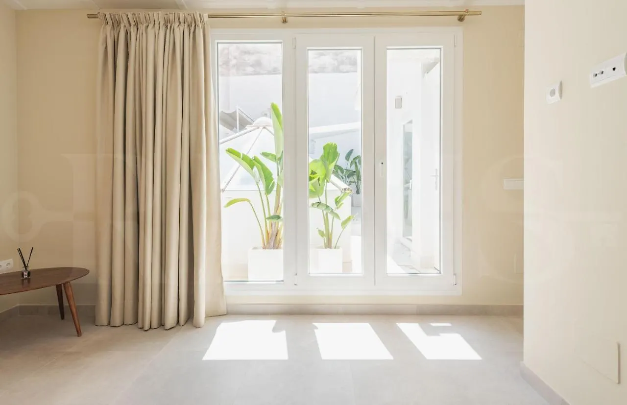 Penthouse & Private Rooftop In The Heart Of Malaga By Rems Apartment